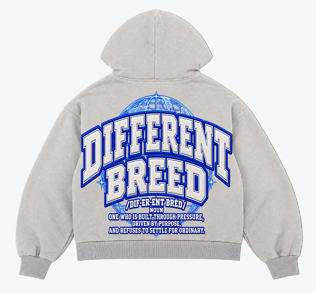 BTR Oatmeal Zip-Up Hoodie 2